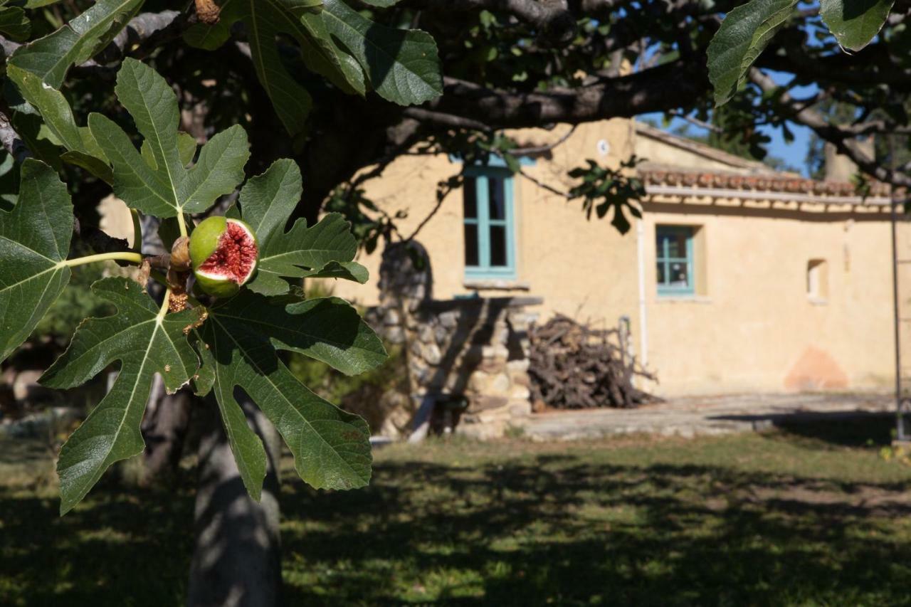 Mas Antinea Séjour chez l'habitant
